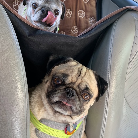 Meet your Posher, Rhonda - Picture 10 of 16